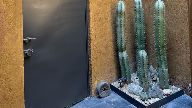 A modern door with a textured wall and a small cactus garden. - Department in the Heart of Oaxaca (Oaxaca)
