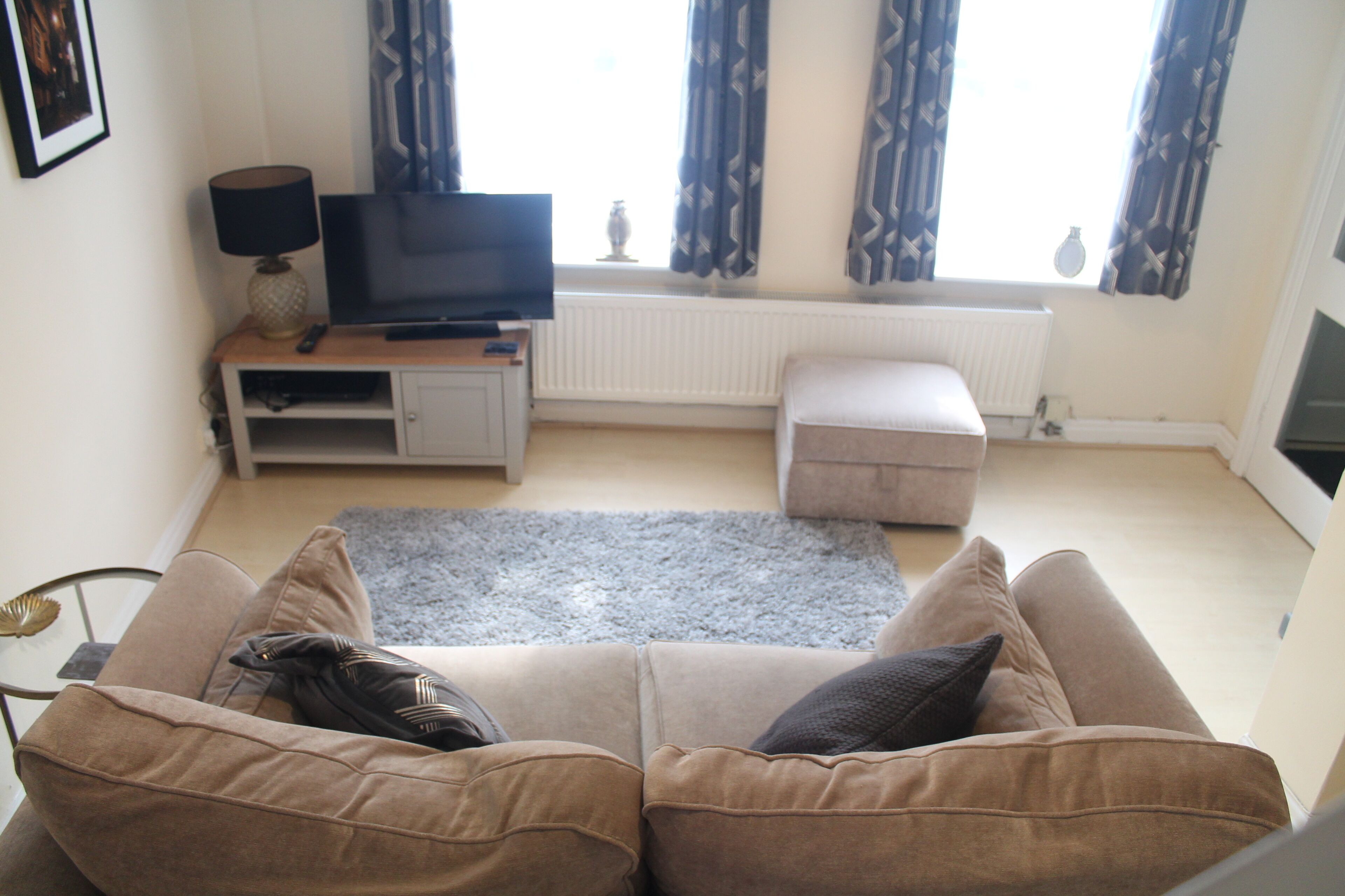 TV, video games, DVD player, video library