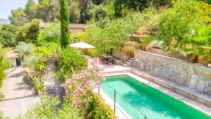 Una piscina rettangolare circondata da vegetazione rigogliosa, un muro in pietra e una terrazza con mobili da esterno.