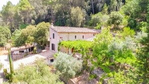 Una casa in pietra con tetto in tegole, circondata da vegetazione rigogliosa e alberi.