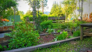 Garden - Pension Cottontail (Yamanakako)