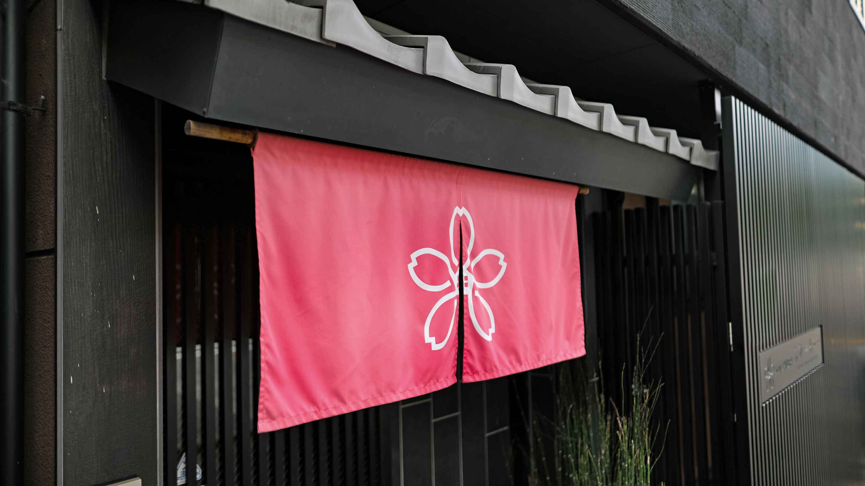 外觀