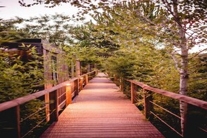 Un sentier en bois traverse un jardin, avec des garde-corps de chaque côté.