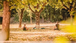 Trois personnes méditent dans un parc, entourées d’arbres et d’une pelouse.