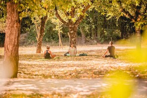 Drei Personen meditieren in einem Park mit Bäumen und einer Rasenfläche.