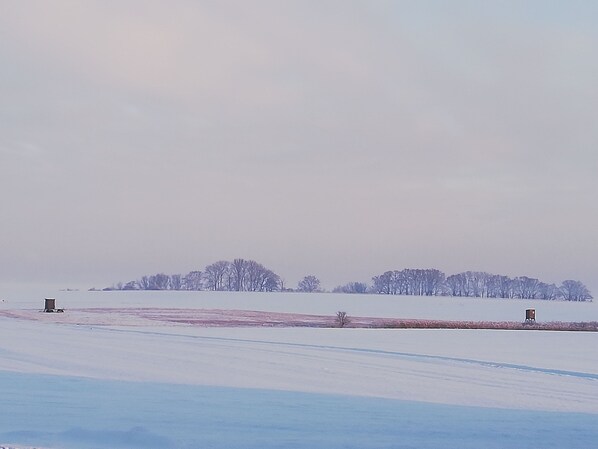 Unclassified image, 1 of 11, button