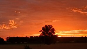 A sunset over a flat landscape with a single tree silhouette. - Vacation apartment Zimmermann (Mellenthin)