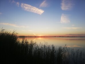 Unclassified image, 2 of 11, button