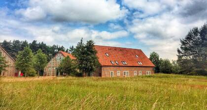 Relaxation in the beautiful Lüneburg Heath - beautiful half-timbered house