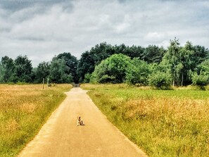 Unclassified image, 4 of 19, button - Relaxation in the beautiful Lüneburg Heath - beautiful half-timbered house (Göhrde)