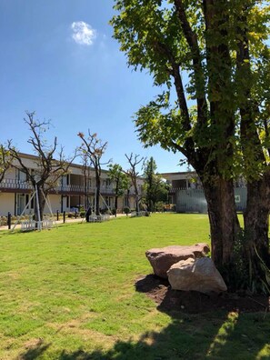 Un patio cubierto de césped con un gran árbol, una roca y un edificio con balcones al fondo.