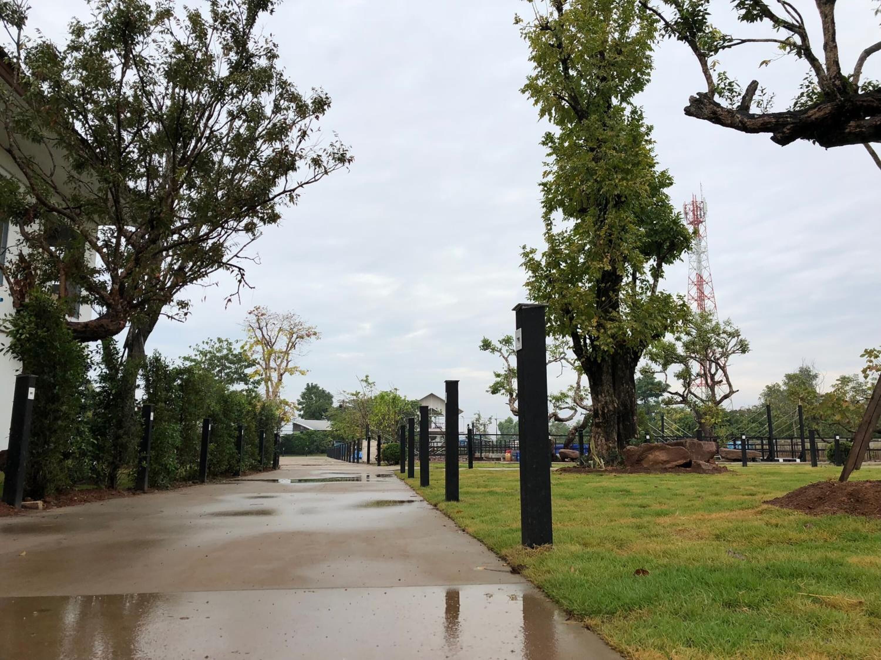 A wet concrete pathway flanked by trees and black bollards, leading to a building with a white facade.