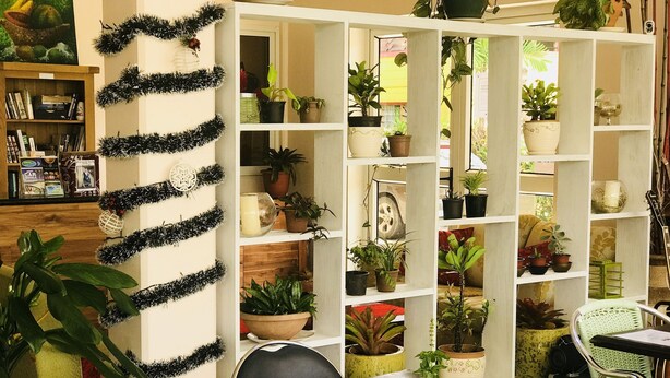 Una habitación con una estantería blanca llena de plantas en macetas, una biblioteca de madera con libros y adornos, y una mesa con menús.