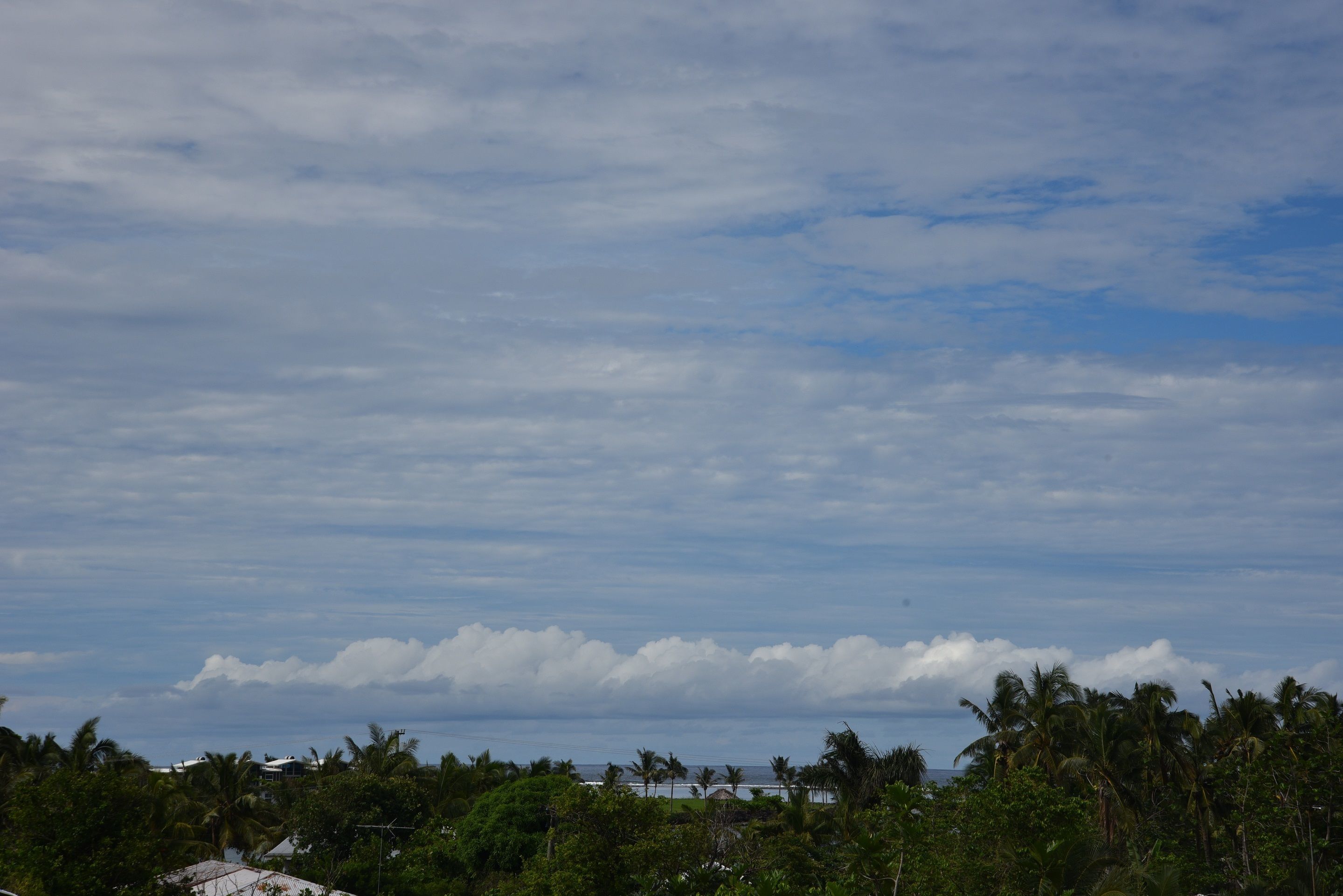 apartment, 2 bedrooms, kitchen, mountain view | beach/ocean view