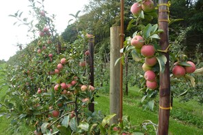 Unclassified image, 5 of 76, button