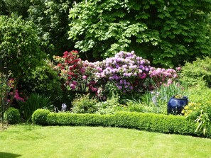 Terrain de l’hébergement 