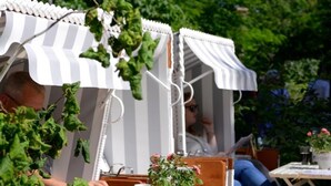 A white striped outdoor seating area with a table, chairs, and a potted plant. - Muschel Whg. Krabbe, Germany (Ostseebad Boltenhagen)