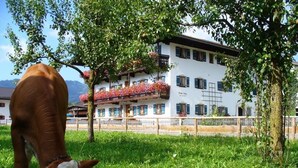 A cow grazing in a grassy area with a building in the background. - Apartment Geigelstein for 2 pers., 36 sqm, balcony (Schleching)