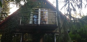 Unclassified image, 4 of 7, button