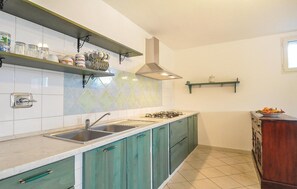 Fridge, stovetop, cookware/dishes/utensils