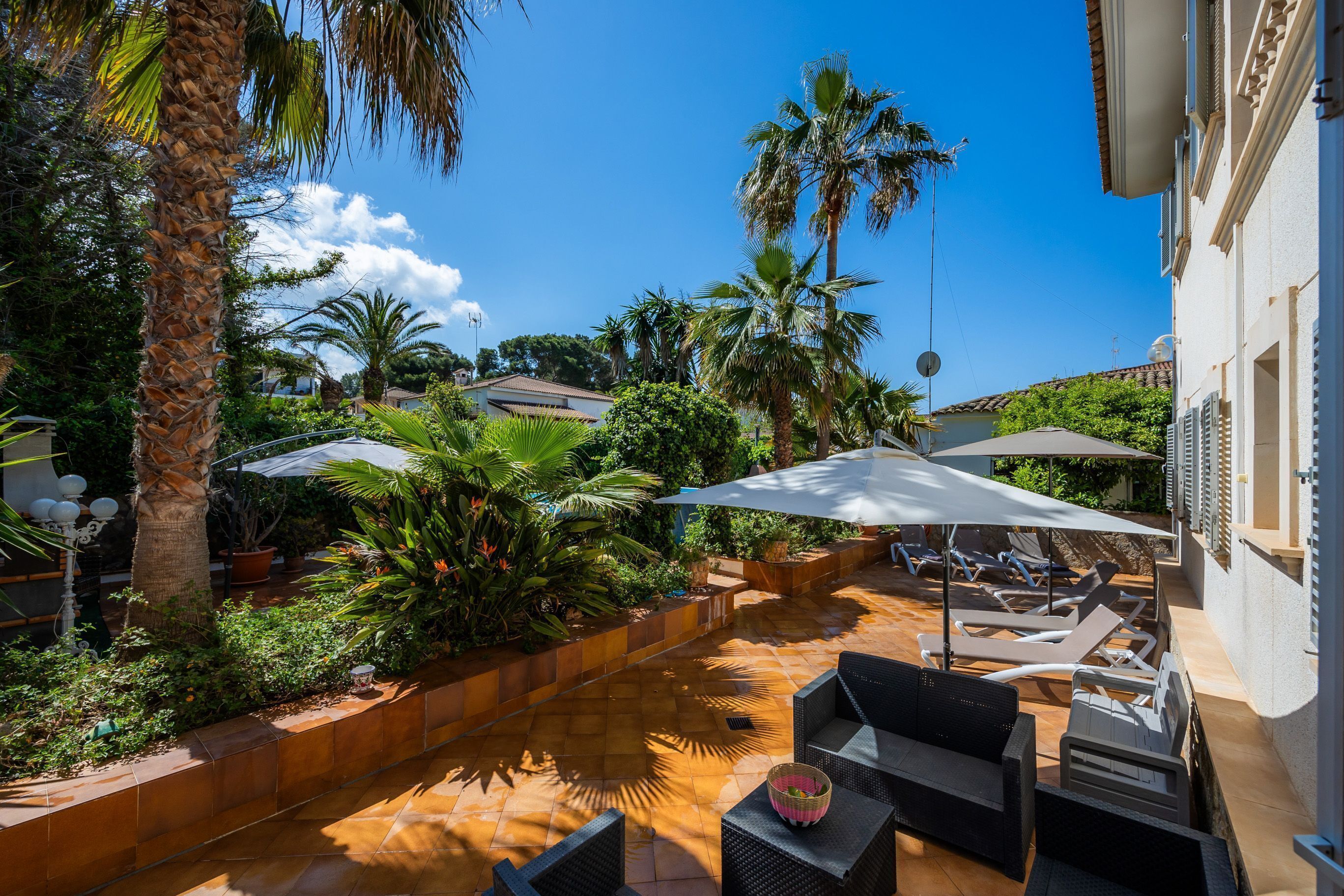 A sunlit patio with outdoor seating, palm trees, and a tiled floor.