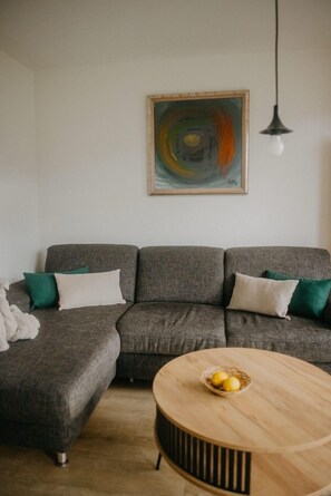 Fernseher, DVD-Player