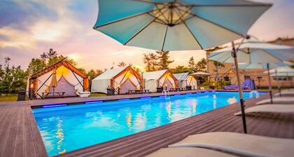 Ecohill Glamping Jeju - Campground