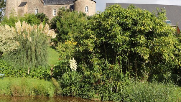 Un edificio histórico de piedra con una torre redonda, rodeado de abundante vegetación y un estanque.