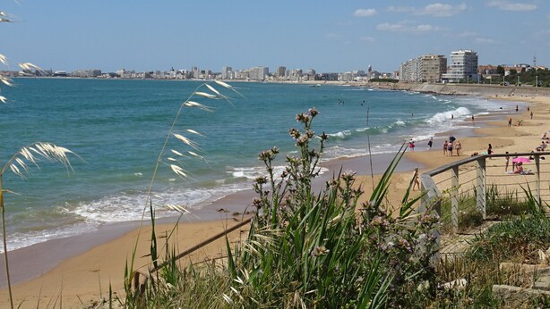 Una playa con un horizonte urbano al fondo, una orilla arenosa y algo de vegetación en primer plano.