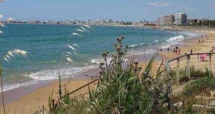 Appartement T2 proche plage avec loggia et un animal admis