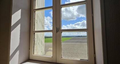 Encantadora casa en viñedo, se aceptan mascotas