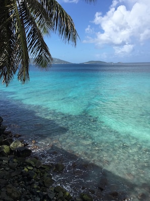 A clear turquoise sea with visible rocks at the shore, palm tree leaves in the foreground, and a distant landmass.