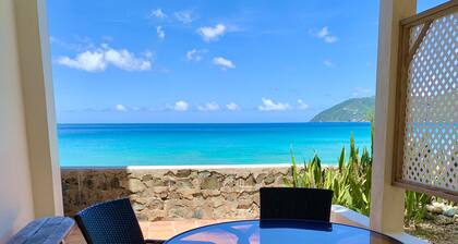 CASA CARIBE MEEREBENE OCEANFRONT VILLA, Klimaanlage, Schöne Aussicht!