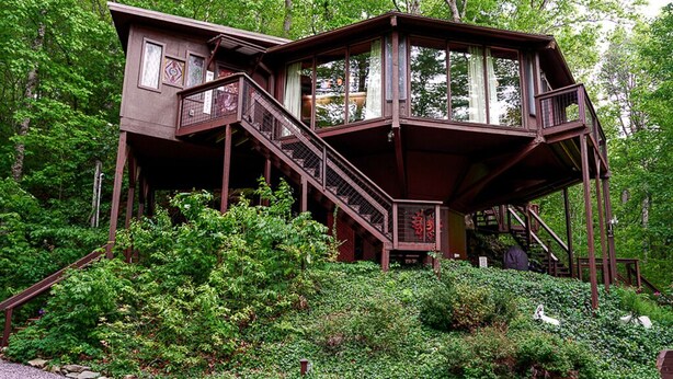 Une cabane en bois avec un escalier, entourée d’une végétation luxuriante.