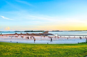 Ski acuático, vóleibol de playa, bote de remos