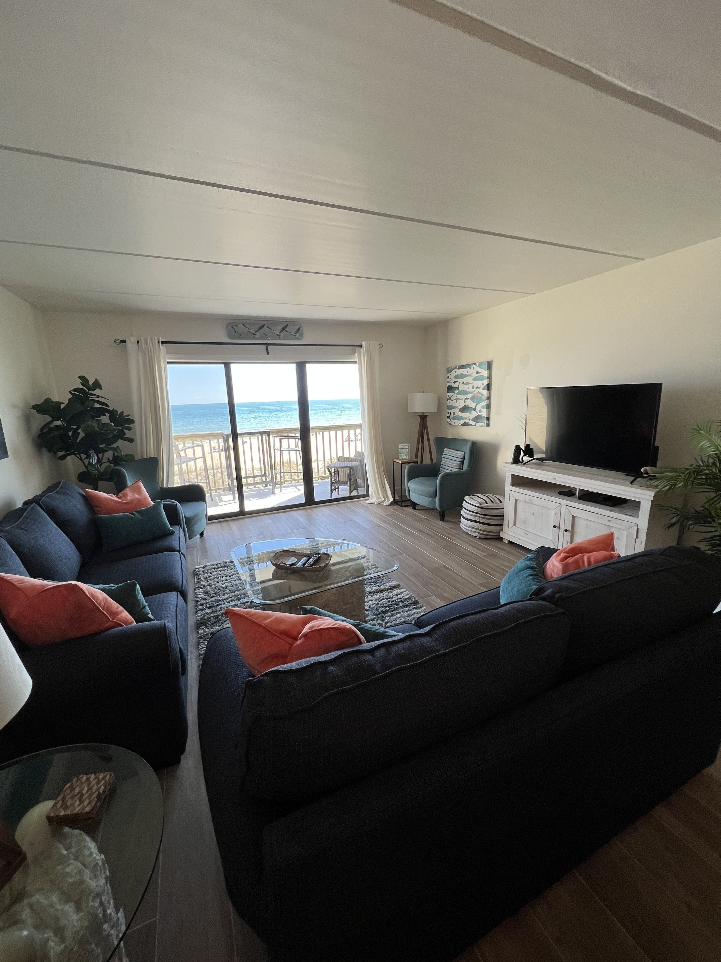 Televisión y libros 