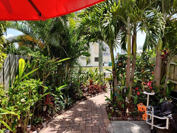 Un sentier de jardin bordé de différentes plantes tropicales et délimité par une clôture en bois.