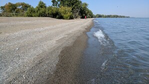 A pebbled beach with a person in red, trees, and a clear sky.