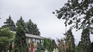 A garden with various plants and a blue sign.