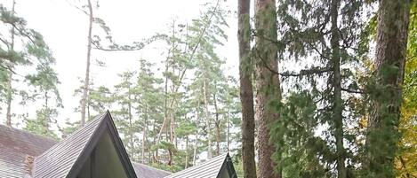 Majoituspaikan julkisivu