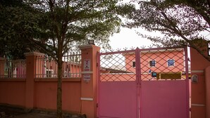 Una entrada con puerta metálica, un árbol y un edificio con pared y ventanas rosadas.