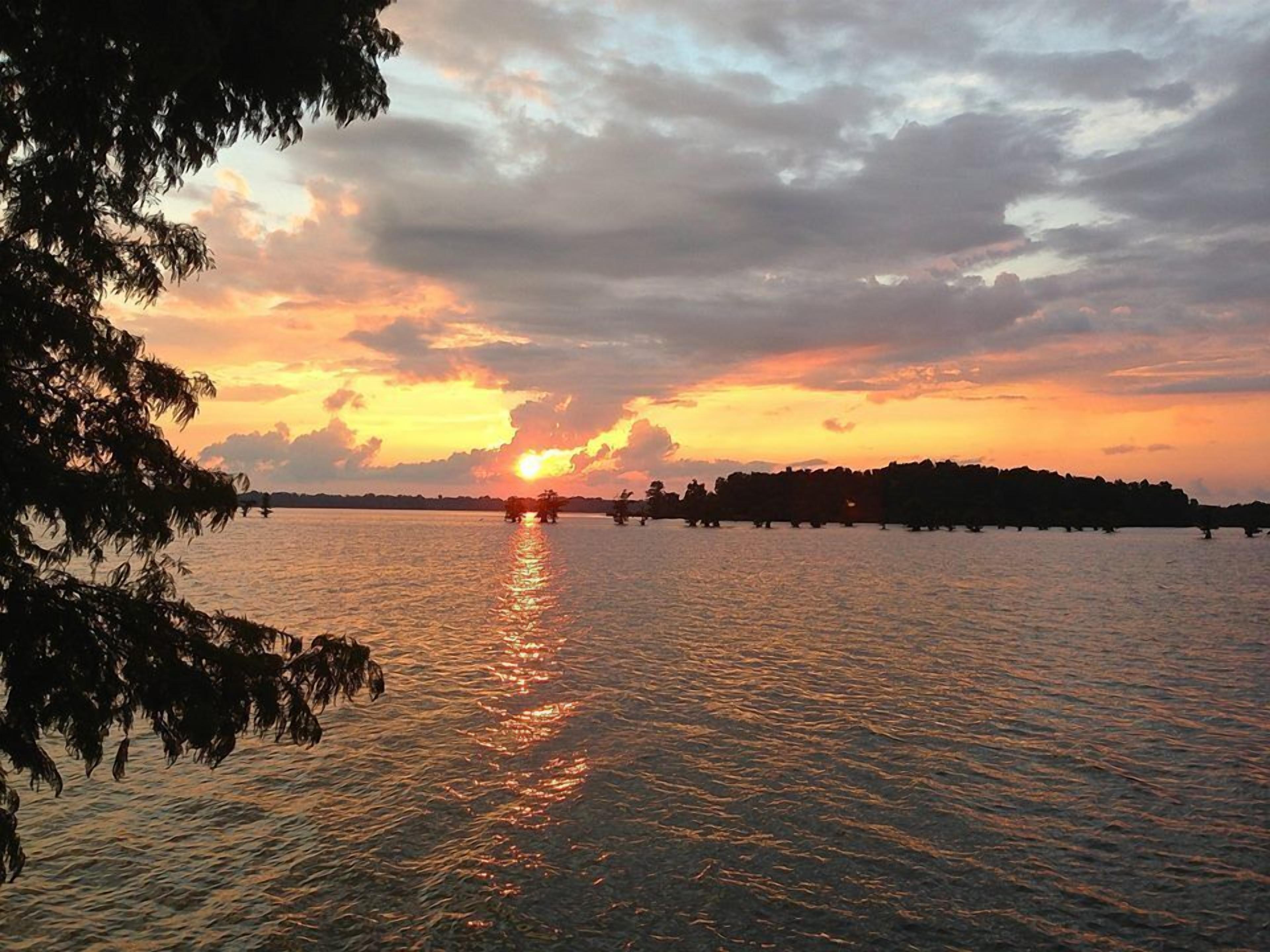 A sunset over a calm body of water with silhouettes of trees and a distant shoreline.