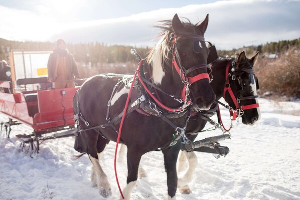 Two horses harnessed to a red sleigh. - Mainridge Townhome: On Main St, Hot Tub (Breckenridge)