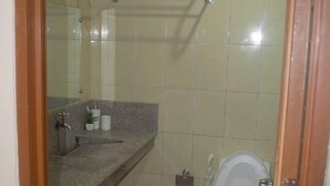 Une salle de bain avec un comptoir en granit, un miroir, un porte-serviettes, des toilettes et une petite plante en pot.