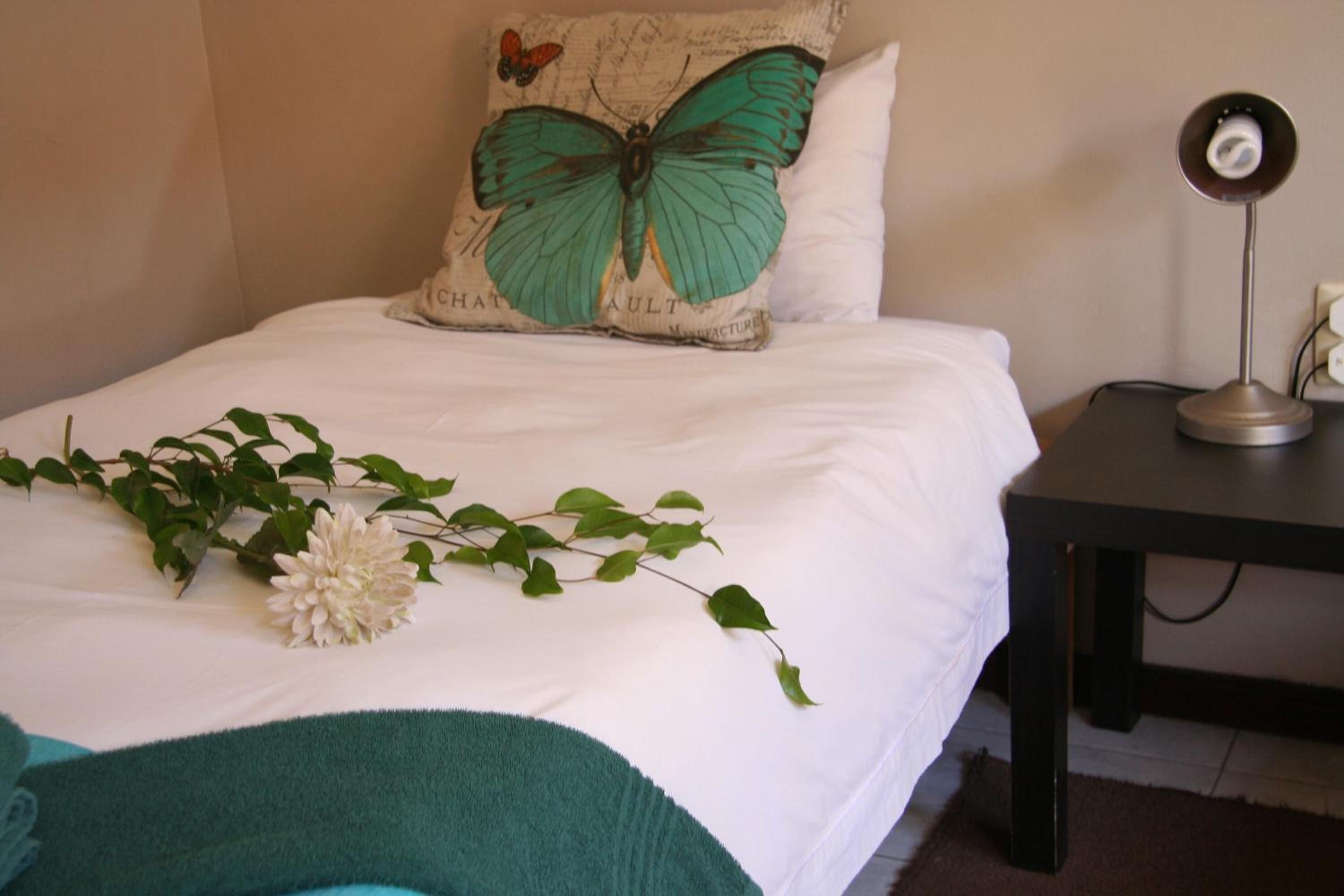 A neatly made bed with a decorative pillow, a bedside table with a lamp, and a plant on the bed.