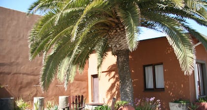 Dunedin Star Guesthouse