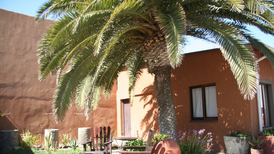 Dunedin Star Guesthouse