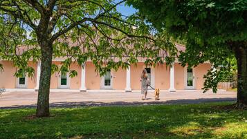 A building with a row of white columns and a tree in the foreground.