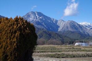 Vista desde la propiedad