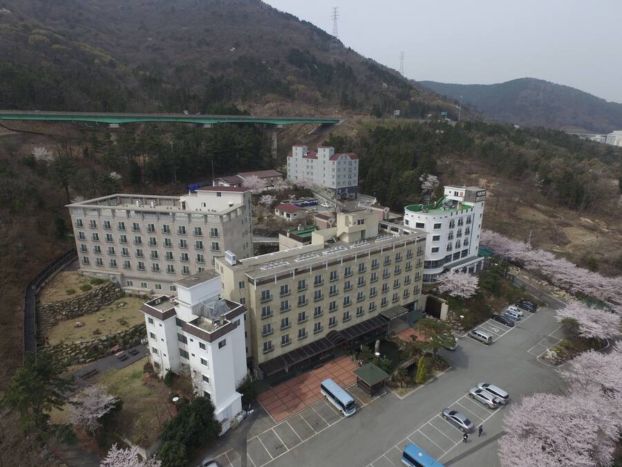 A large hotel with multiple buildings, a parking lot, and cherry blossom trees.